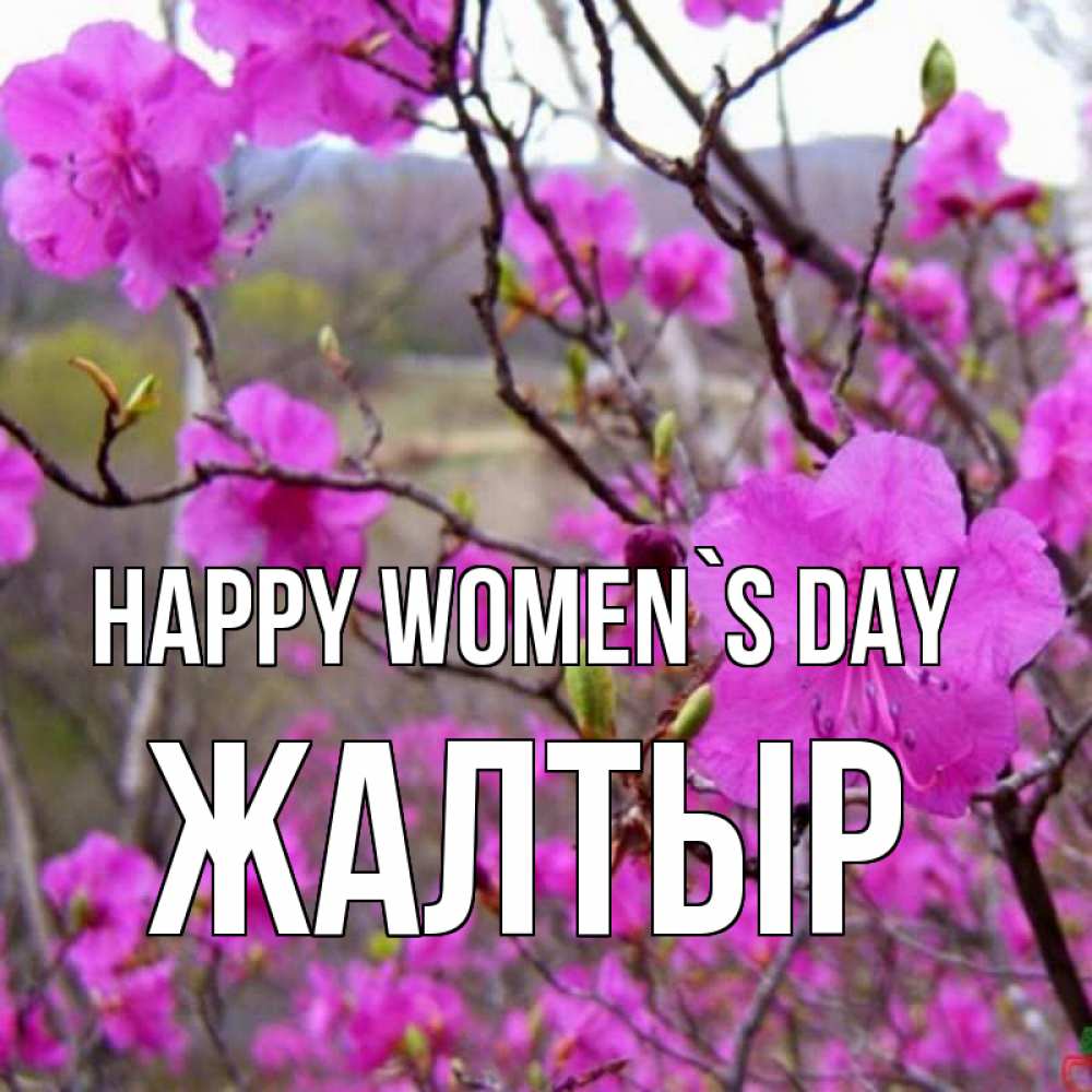 Greetings card с именем, Жалтыр happy women`s day международный женский день Greetings with text for free download 